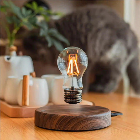 Levitating Edison Bulb