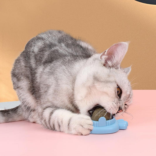 Catnip Ball, for Cats