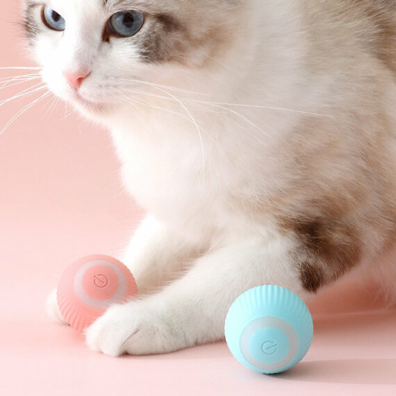 Smart Ball, for Cats