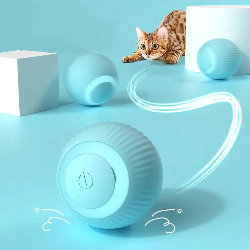 Smart Ball, for Cats